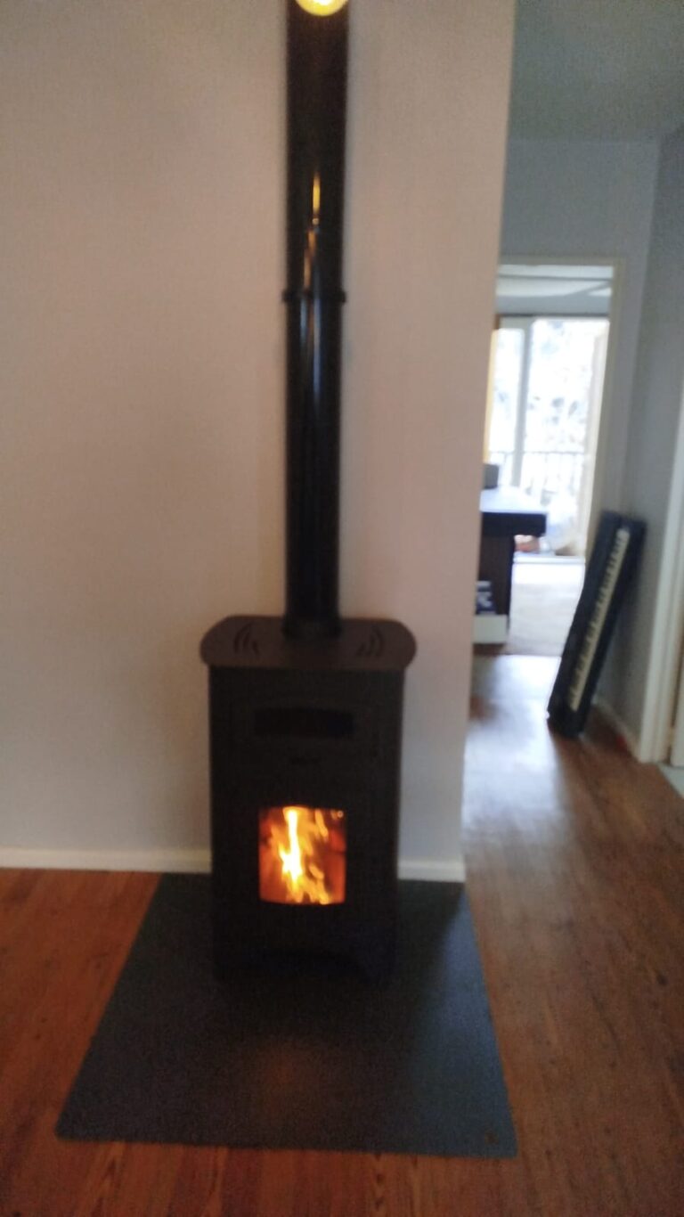 FOTO SALAMANDRA PASAJE POR LOZA ADENTRO