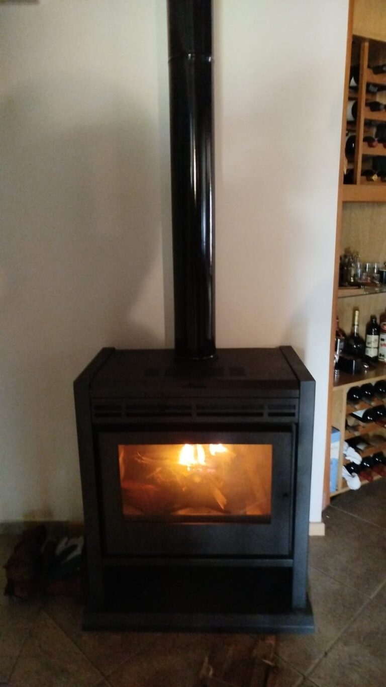 FOTO SALAMANDRA PASAJE POR TECHO DE TEJA ADENTRO